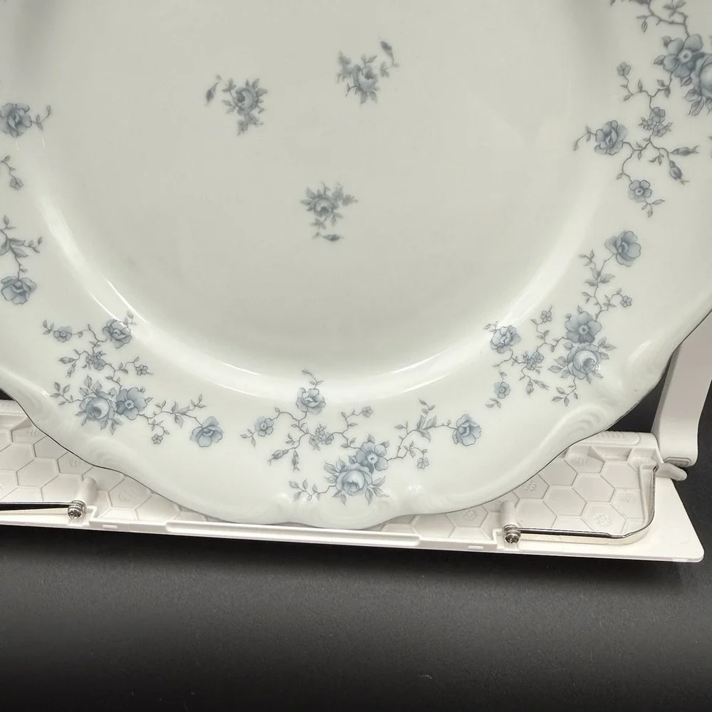 Johann Haviland Blue Garland Bavarian Germany China 10